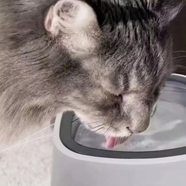 Tazón Bebedero De Agua Anti Salpicaduras para mascotas
