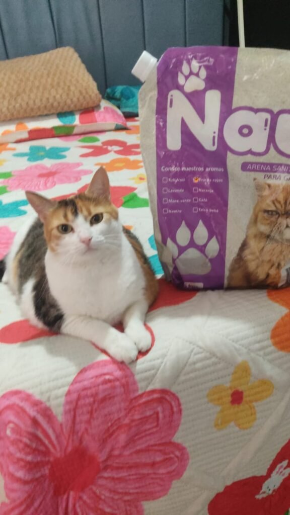 Imagen #1 de mariana